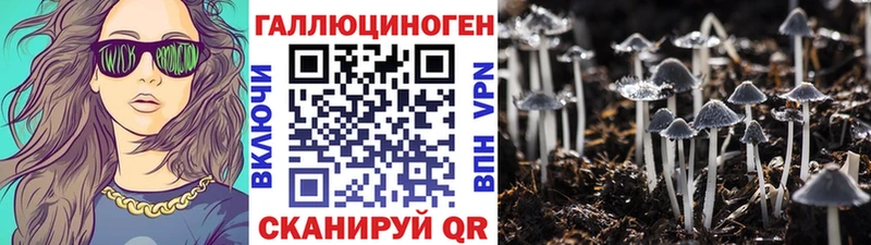 купить наркотик  Ульяновск  Галлюциногенные грибы MAGIC MUSHROOMS 